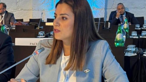 Deputat Sevinc Fətəliyeva: Ermənistan konstitusiyası sülhə əsas maneədir