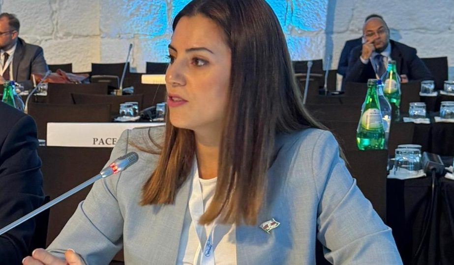 Deputat Sevinc Fətəliyeva: Ermənistan konstitusiyası sülhə əsas maneədir