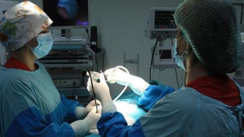 Saxta həkim Dr. Ella Hezenzade ifşa olundu