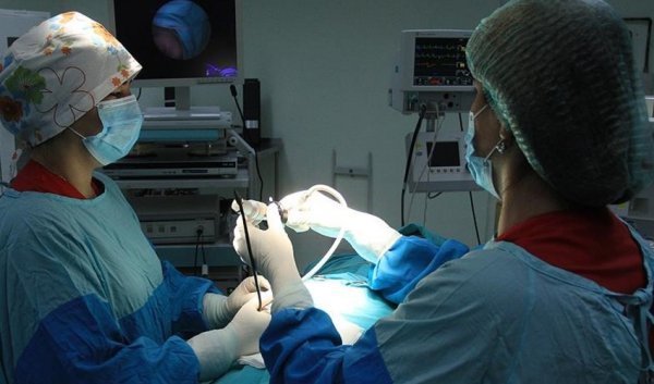 Saxta həkim Dr. Ella Hezenzade ifşa olundu