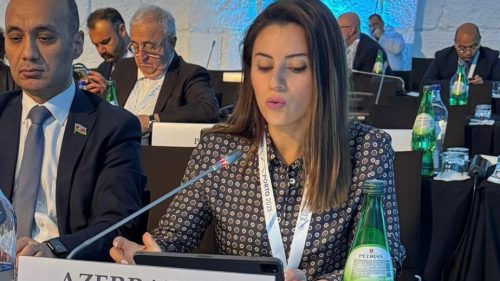 Sevinc Fətəliyeva: İqlim Dəyişikliyi ATƏT Məkanında Ən Ciddi Təhlükədir