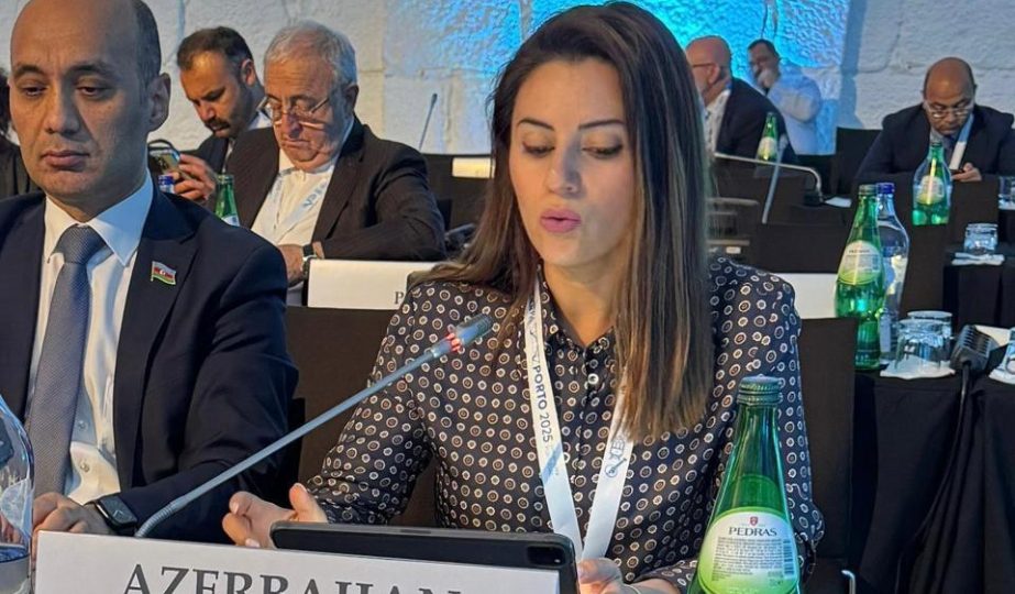 Sevinc Fətəliyeva: İqlim Dəyişikliyi ATƏT Məkanında Ən Ciddi Təhlükədir