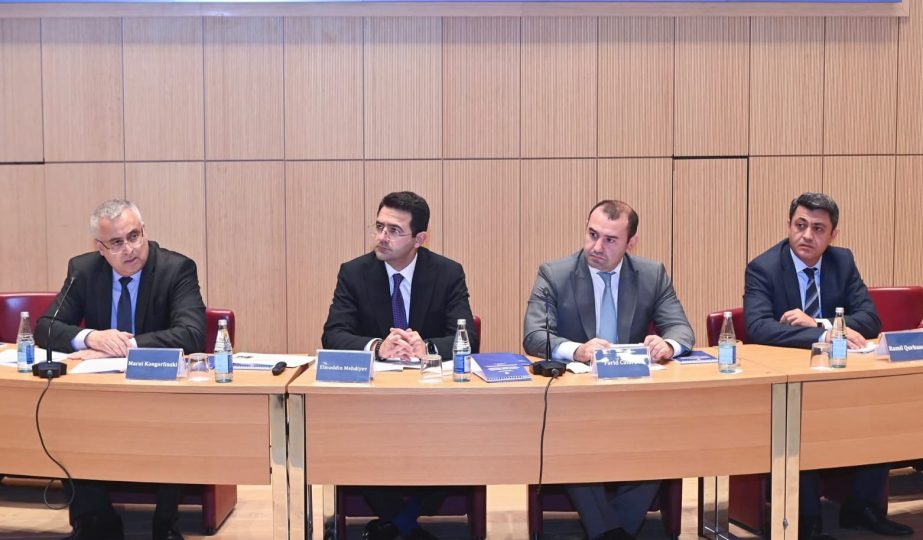 Mədəniyyət Nazirliyi və AIDA mədəniyyət və inkişaf diplomatiyasını müzakirə etdi